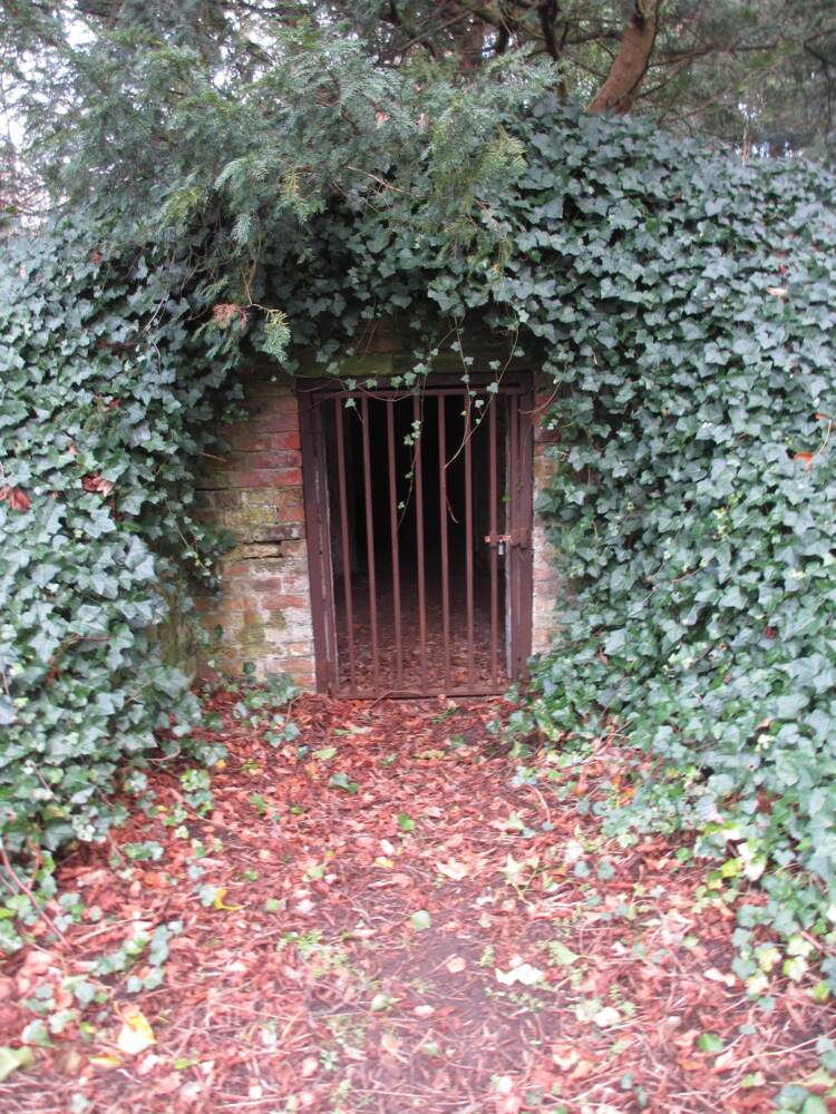 the outside of a dungeon cell amidst some leaves and trees